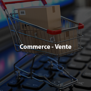 https://conseils.dynamicgroupe.com/wp-content/uploads/2019/01/commerce-1.png