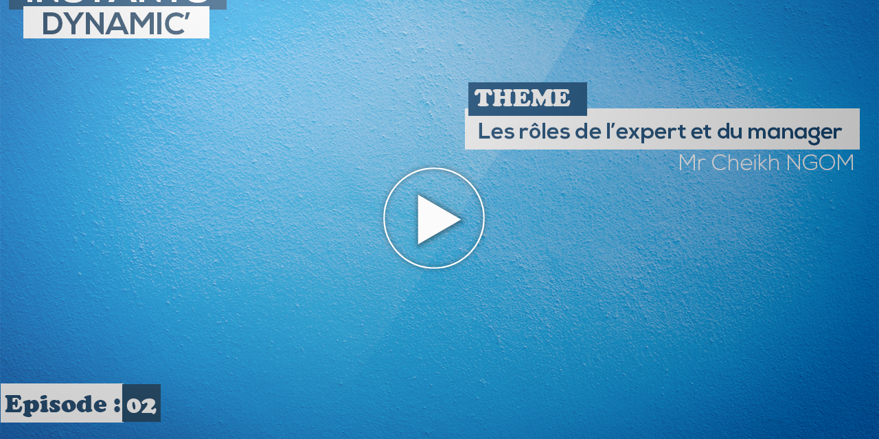 Les rôles de l’expert…