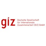 Partenaire Dynamic - giz